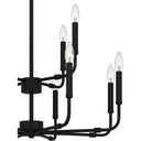 Abner 12 Light Chandelier in Matte Black 5