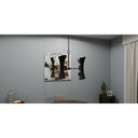 Myla 10 Light Chandelier in Matte Black 2