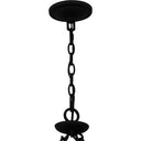 Octavia 18 Light Chandelier in Earth Black 5