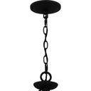 Octavia 9 Light Chandelier in Earth Black 3