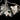 Pangea 6-Light Linear Pendant 12