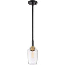 Quoizel SGR1505EK Sagamore 1 Light Mini Pendant in Earth Black - Crescent Harbor