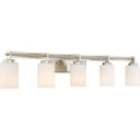 Taylor 5 Light Bath Light in Brushed Nickel 4