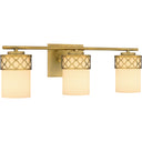 Tenley 3 Light Bath Light in Aged Brass 5