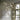 Foyer and Hallway - Crescent Harbor