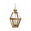 1012 Northeast Lantern Boston Outdoor Hanging Lantern 2