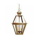 1012 Northeast Lantern Boston Outdoor Hanging Lantern 3