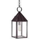 11942 Northeast Lantern Winnicutt Hanging Light 12