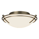 12-4402 Hubbardton Forge Tryne Flush-Mount Fixture 6