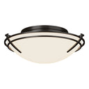 12-4402 Hubbardton Forge Tryne Flush-Mount Fixture 8