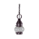 2012 Northeast Lantern Onion 1 Light Outdoor Hanging Lantern 11
