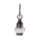 2012 Northeast Lantern Onion 1 Light Outdoor Hanging Lantern 12