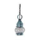 2012 Northeast Lantern Onion 1 Light Outdoor Hanging Lantern 14