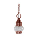 2012 Northeast Lantern Onion 1 Light Outdoor Hanging Lantern 4
