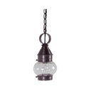 2012 Northeast Lantern Onion 1 Light Outdoor Hanging Lantern 10