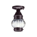 2014 Northeast Lantern Onion 1 Light Outdoor Semi Flush Mount 12