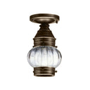 2014 Northeast Lantern Onion 1 Light Outdoor Semi Flush Mount 9