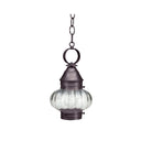 2022 Northeast Lantern Onion Outdoor Hanging Lantern 12