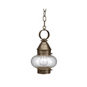 2022 Northeast Lantern Onion Outdoor Hanging Lantern 7