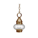 2022 Northeast Lantern Onion Outdoor Hanging Lantern 1
