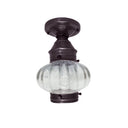 2024 Northeast Lantern Onion 1 Light Semi Flush Mount 12