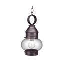 2032 Northeast Lantern Onion Outdoor Pendant 11