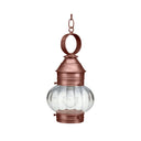 2032 Northeast Lantern Onion Outdoor Pendant 6