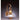 2531 Northeast Lantern Onion Collection Outdoor Wall Sconce