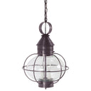 2542 Northeast Lantern Caged Onion Hanging Light 20