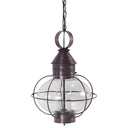 2542 Northeast Lantern Caged Onion Hanging Light 21