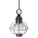 2542 Northeast Lantern Caged Onion Hanging Light 22