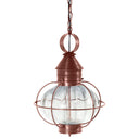 2542 Northeast Lantern Caged Onion Hanging Light 34