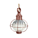 2842 Northeast Lantern Round Onion 1 Light Pendant 6
