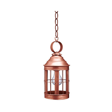 3312 Northeast Lantern Heal Outdoor Hanging Lantern 4