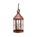 3332 Northeast Lantern Heal Outdoor Hanging Lantern 4