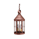 3332 Northeast Lantern Heal Outdoor Hanging Lantern 5