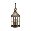 3332 Northeast Lantern Heal Outdoor Hanging Lantern 9