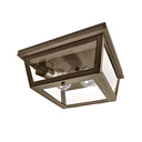 4204 Northeast Lantern Williams 2 Light Flush Mount 7