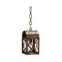 6012 Northeast Lantern Adams Outdoor Hanging Lantern 5