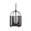 6812 Northeast Lantern 2 Light Hanging Lantern 8