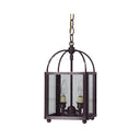 6812 Northeast Lantern 2 Light Hanging Lantern 9