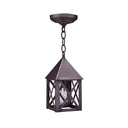 7012 Northeast Lantern York 1 Light Pendant 11