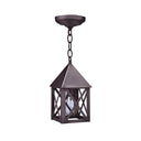 7012 Northeast Lantern York 1 Light Pendant 12
