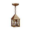 7012 Northeast Lantern York 1 Light Pendant 2