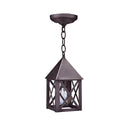 7012 Northeast Lantern York 1 Light Pendant 10