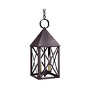 7042 Northeast Lantern York Outdoor Hanging Lantern 21