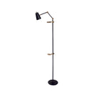 House of Troy RN301 River North 1 Light Task lamp 2