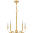 Abner ABR5018 5 Light Chandelier 4