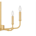 Abner ABR5018 5 Light Chandelier 8