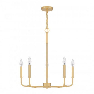 Abner Chandelier-ABR5024AB 5